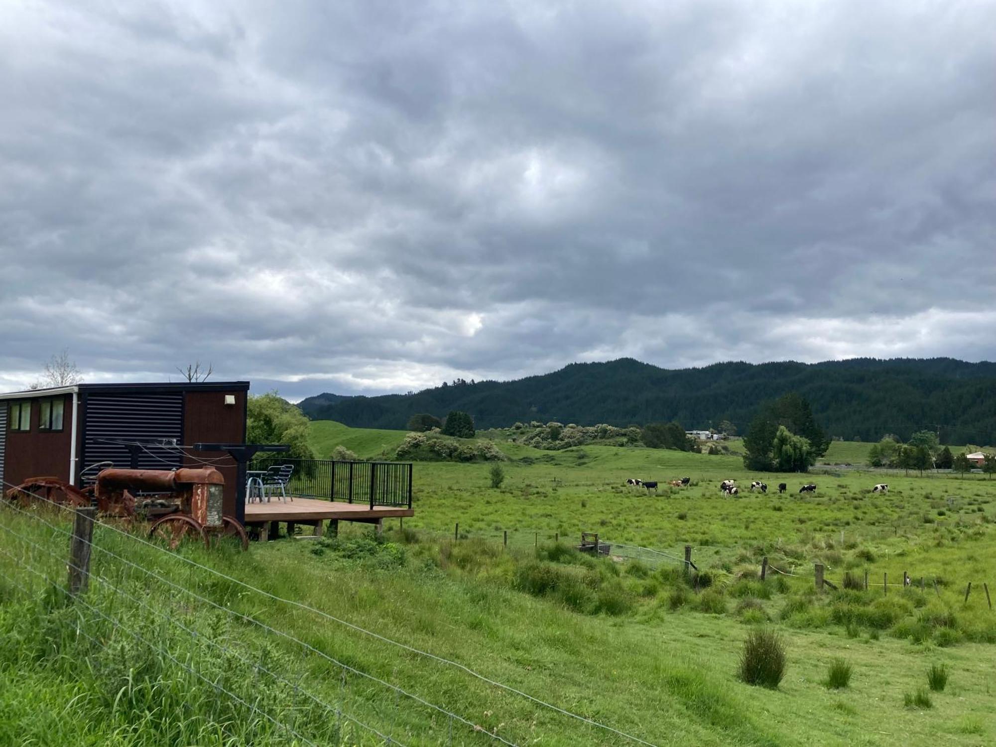 White Pine Bush Cabins Taneatua Luaran gambar